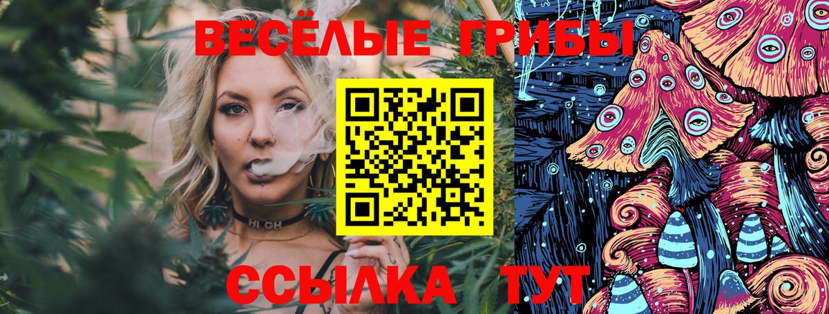 Балаково  Галлюциногенные грибы Psilocybine cubensis  Вход с VPN  Псилоцибиновые грибы GOLDEN TEACHER 