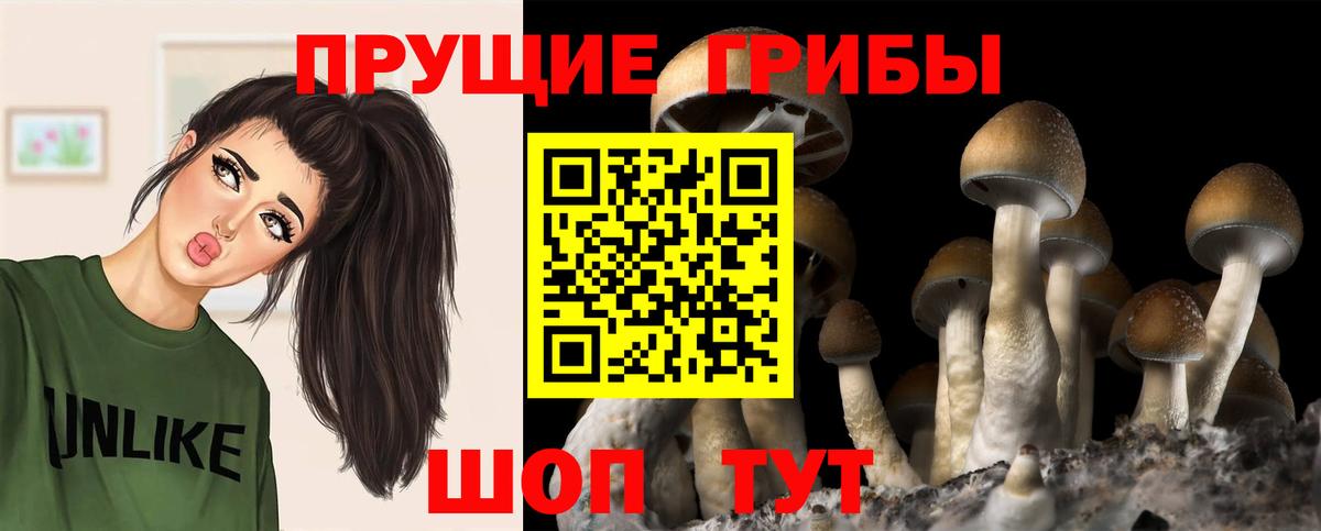 Галлюциногенные грибы Magic Shrooms Балаково
